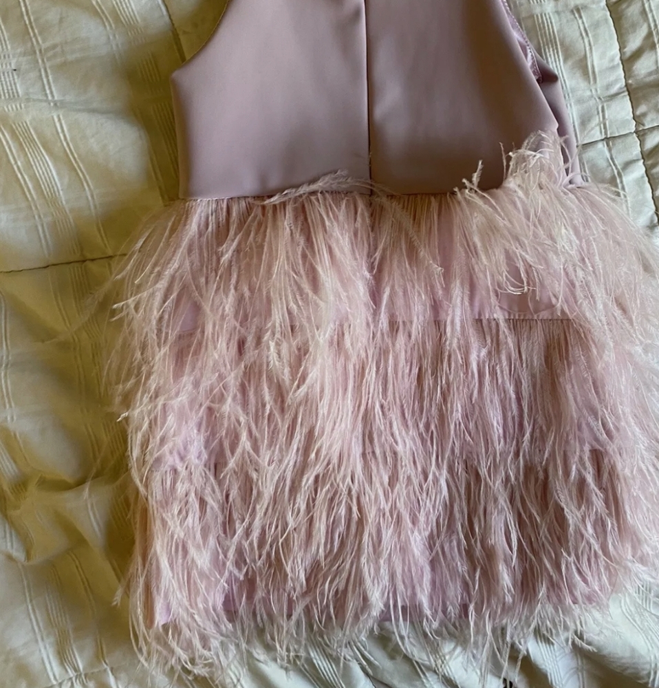 Chasing fireflies feather party dress 4 5 8 10 16 - Picture 17 of 17